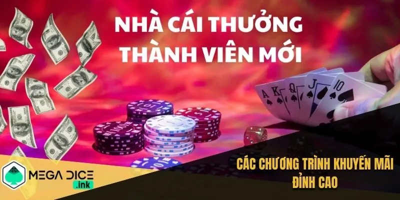 Các chương trình khuyến mãi đỉnh cao